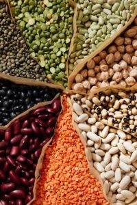 • Pulverizer Machine Suppliers in Coimbatore
